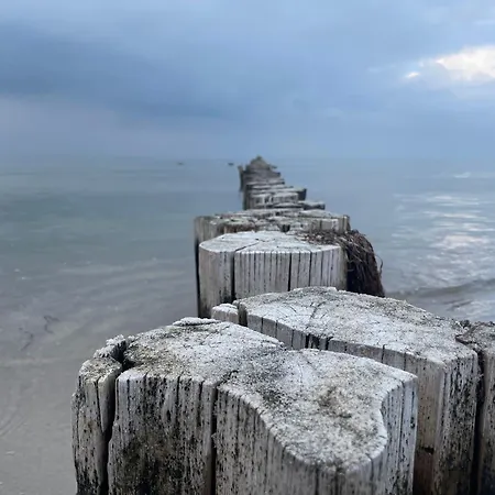 شقة Strandwohnung Direkt Am - Whg 32