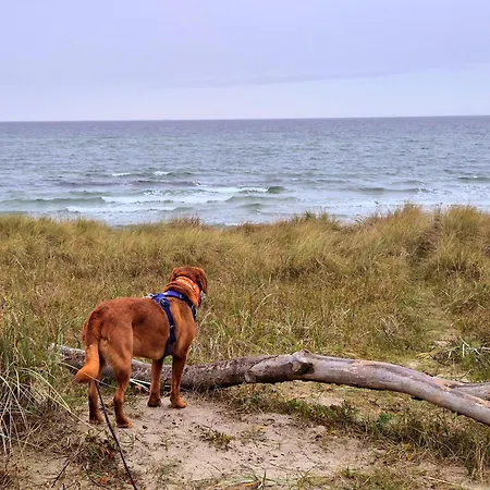 Strandwohnung Direkt Am - Whg 32 شقة *