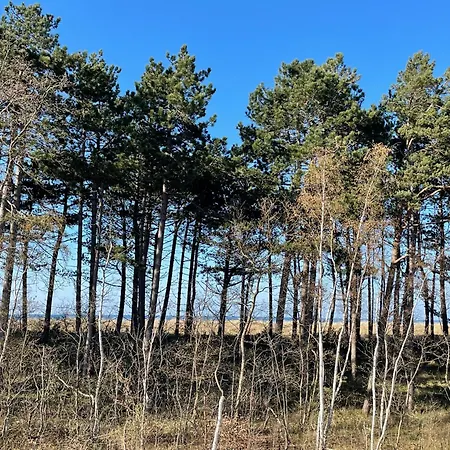 Strandwohnung Direkt Am - Whg 32